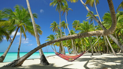Strand mit schönen Kokospalmen und Hängematte