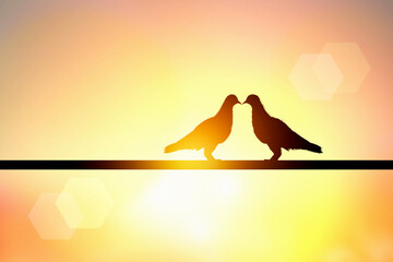 silhouette of lover bird