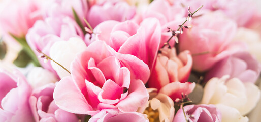 Bouquet of bright colorful tulips. Beautiful pastel pink floral background. Spring flowers. Banner