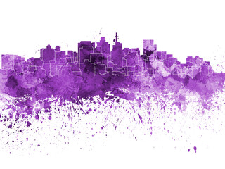 Obraz premium Durban skyline in watercolor background