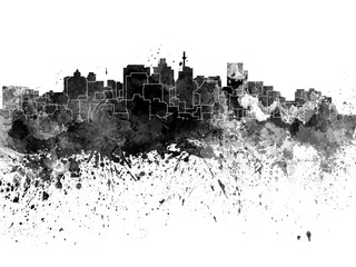 Durban skyline in black watercolor