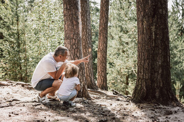 Father and little son holding hands walking in summer pine forest together. Hyper-local travel, family outing. Rear view of man and child hiking in park