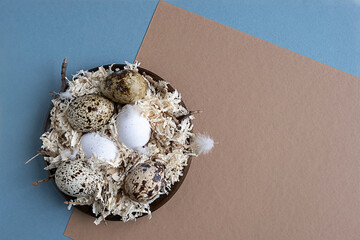 Imitation of a nest with quail eggs on a blue and brown paper background. The concept of spring,...