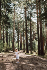 Happy cute toddler boy in t-shirt and shorts walking along path in summer park. Little kid outing on path in pine forest. Hyper-local travel concept. Active lifestyle. Child having fun in green woods.