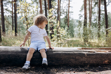 Happy cute toddler boy in t-shirt and shorts walking along path in summer park. Little kid sitting...