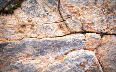 Stone texture or background. Natural material