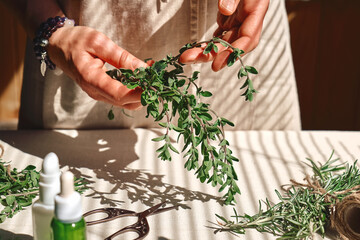 Alternative medicine. Woman holding in her hands a bunch of marjoram. Herbalist woman preparing...