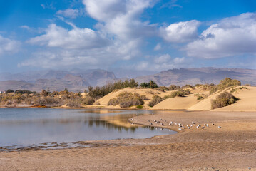 lake in the desert