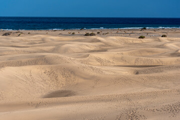 sand dunes on the beach
