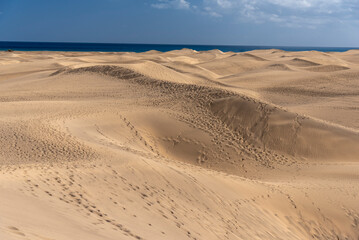 sand dunes on the beach