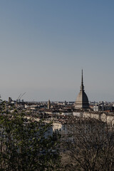 View of the Mole Antonelliana and the city of Torino on a clear day. With trees without leaves and a well-marked contrast.