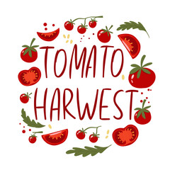 The inscription tomato harvest. A collection of different types of tomatoes. Ingredients for cooking. Vegan print. Vector hand drawn illustration. Frame with vegetables. Vector illustration