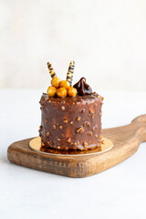 Chocolate cake on a white background. Cake with croquant and cream filling. Bakery products. close up