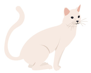 white cat flat design, isolated, vector