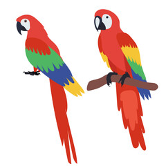 macaw parrot flat design, isolated, vector © zolotons