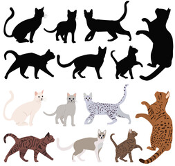 cats set flat design, isolated, vector