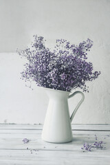 lush bouquet of purple gypsophila flowers in a white jug on a white background. floral still life, vertical, selective content