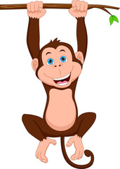 cute monkey hanging on the tree