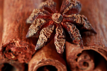 anise and cinnamon sticks scattered on the table