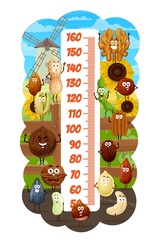 Kids height chart cartoon nuts and beans on farm vector growth meter. Peanut, almond and hazelnut, coconut, pistachio and cashew. Brazil, soybean and pecan, walnut, pumpkin, coffee and sunflower seeds