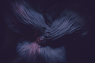 Close up beautiful bunch mushrooms color light. Macro  photography view. Close-up of pixel.