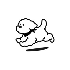 Dog, toy poodle, vector symbol design