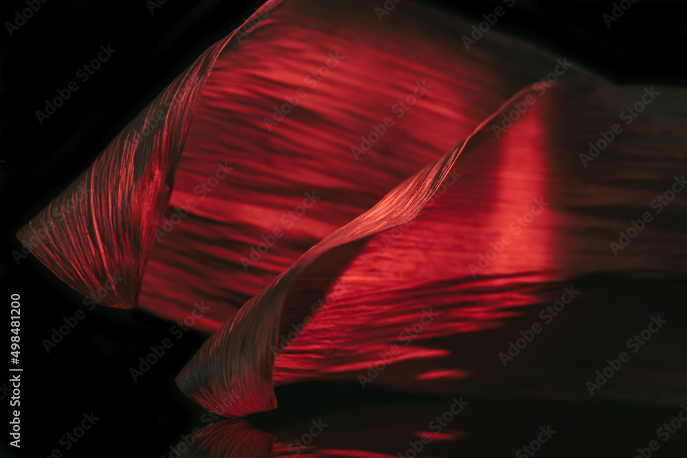 Leinwandbilder close up beautiful leaf in multicoloured red light on a black. minimalism retro style concept. backg
