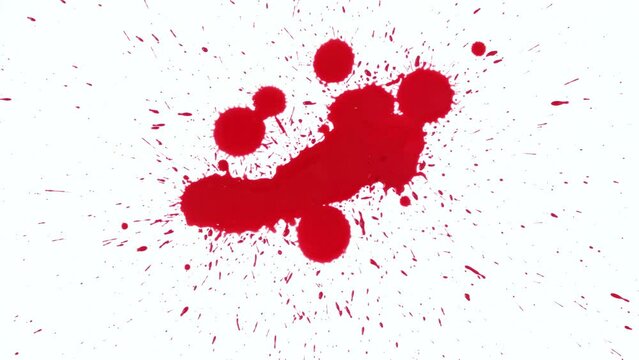 Blood drops on white background. 4K footage