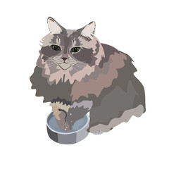 Cute cartoon grey cat is sitting and washing his paws in his bowl.