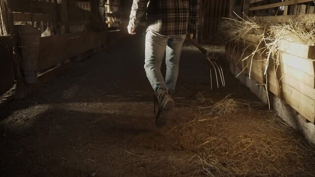 Cinematic shot of male farmer walking through the hay barn holding a pitchfork and calling a dog. Sunlight breaks into the old farm house. An active shot of farmer walking. High quality 4k footage