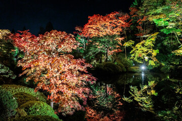 日光山輪王寺　ライトアップ