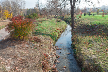 Flowing brook in the park . Runnel in the springtime