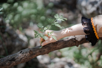 Obraz premium hand of a little girl with a leaf and a tree branch in the forest or garden. Outdoor games. Kid camp animation
