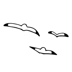 カモメ　手描き　モノクロ