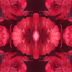 Obraz premium Unique abstraction. Abstract modern art. Images for albums, scrapbooking, art objects, crafts, fabrics, advertising, bloggers, screensavers, websites.