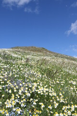 abandoned villages in forest area.Turkey