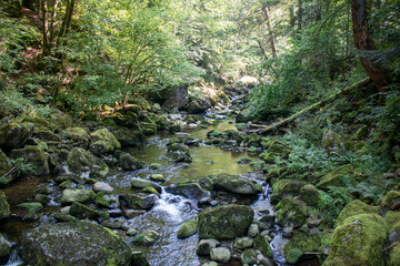 Obraz premium Rustic wild gorge Buchberger Leite in the Bavarian Forest Germany,Europe