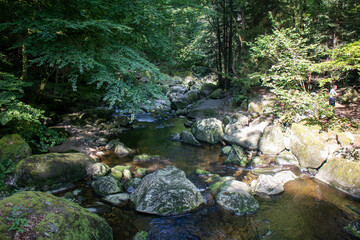 Rustic wild gorge Buchberger Leite in the Bavarian Forest Germany,Europe