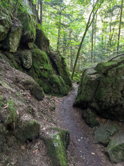 Fototapeta na wymiar Rustic wild gorge Buchberger Leite in the Bavarian Forest Germany,Europe