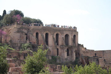 Fototapeta premium The Forum Romanum, Rome