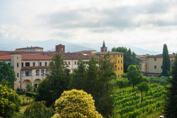 Fototapeta na wymiar Pistoia, Tuscany: vineyard in the city
