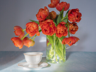 Scarlet, red tulips in a vase and a white cup of coffee. The concept of congratulations and peace. There is space for text