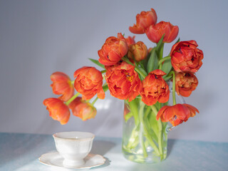 Scarlet, red tulips in a vase and a white cup of coffee. The concept of congratulations and peace. There is space for text