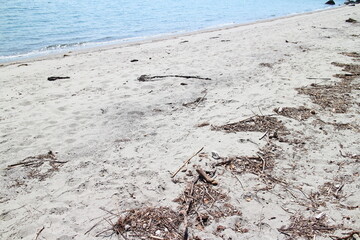 浜辺の風景イメージ