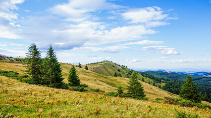 Fototapeta na wymiar Visually Attractive View of Summer Countryside Mountain Nature Landscape. Picturesque Scenery Green Hills And Fields With Pine Trees. Beautiful Blue Sky With Clouds. Mountain Kopaonik, Serbia, Europe.