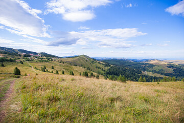 Naklejka premium Summer Countryside Mountain Nature Landscape. Picturesque Scenery Green Hills And Fields. Beautiful Blue Sky With Clouds. Visually attractive View Of Mountain Kopaonik, Serbia, Europe.