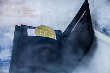  A representative crypto currency cold wallet image, which a real wallet is inside a fridge and ice cubes around and a bitcoin figurine inside the wallet