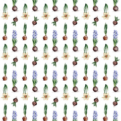 Spring flowers bulb watercolor digital paper Yellow narcissus and blue hiacinth. Hand Drawn Spring floral seamless pattern