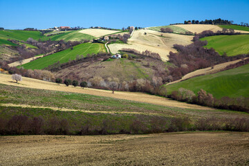 Fototapeta na wymiar Marche Italy Rural Country side