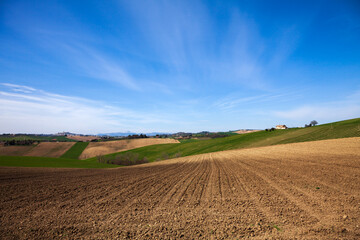 Fototapeta na wymiar Farming fields Italy